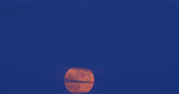 Aardbei Volle Maan Aan Aan Nachthemel Juni 2020 — Stockvideo