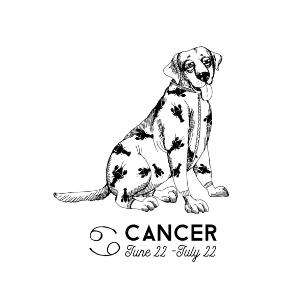 Рак Зодіак Веселі Собаки Знаки Зодіаку Ескізна Ілюстрація — стоковий вектор