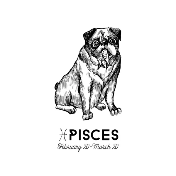 Piscis Perros Divertidos Signos Del Zodiaco Ilustración Del Boceto — Archivo Imágenes Vectoriales