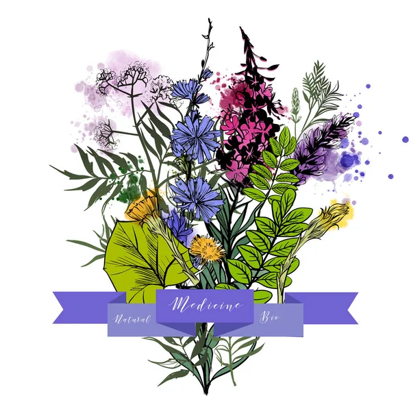 Bouquet Herbes Médicales Croquis Illustration Aquarelle — Image vectorielle