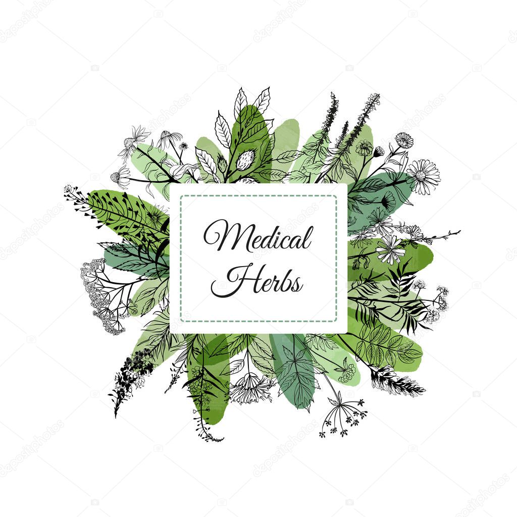 medical herbs background. Hand drawn vector and watercolor texture