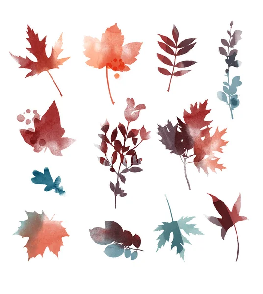 Autumn Leaves Watercolor Vector Set — Stock Vector
