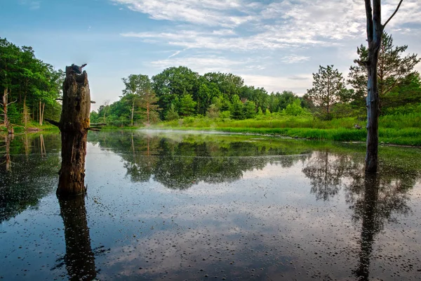 Toque Niebla Beaver Pond Bozenkill Preserve —  Fotos de Stock