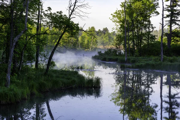 Fog on a swamp in the Adirondacks New York