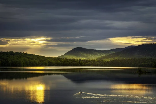 Loon Hint Gölü Adirondacks New York üzerinde gündoğumu izlerken