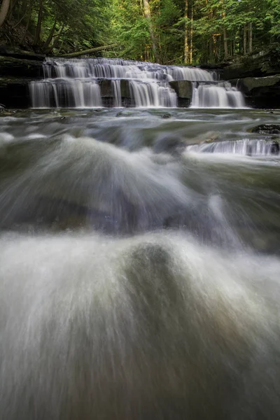 Cascada Bosque Christman Sanctuary Bozenkill Schoharie Nueva York —  Fotos de Stock