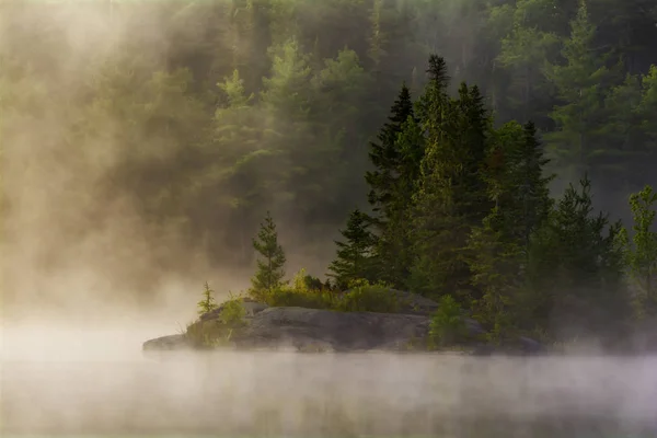 Cheney Gölü 'ndeki Sisli Ada Adirondacks New York