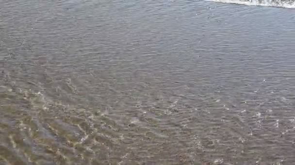 小さな沿岸の波 自然な背景 貯水池 ロシア — ストック動画