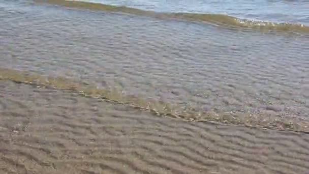 Petites Vagues Côtières Fond Naturel Réservoir Russie — Video