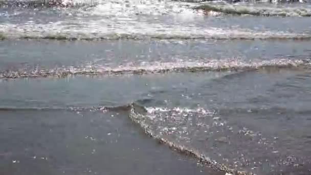 Хвилі Річці Спину Горить Природного Фону Водосховище Росія — стокове відео