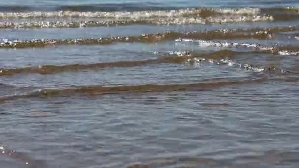 Vagues Dans Rivière Contre Jour Fond Naturel Réservoir Obus Russie — Video