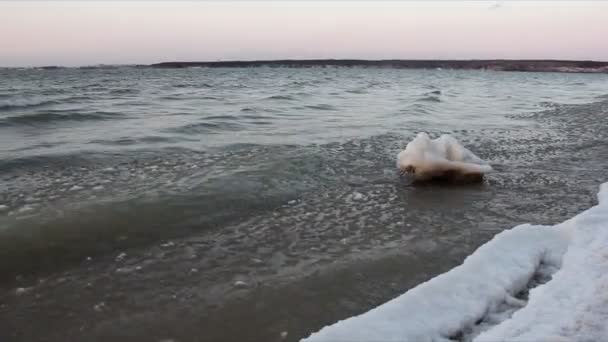 Glace Forme Sur Rivière Automne Réservoir Sibérie Russie — Video