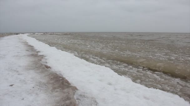 Glace Forme Sur Rivière Automne Réservoir Sibérie Russie — Video