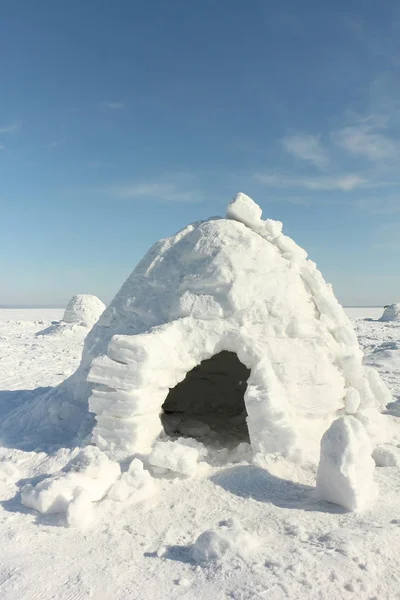 Igloo Pie Sobre Claro Nevado Invierno —  Fotos de Stock