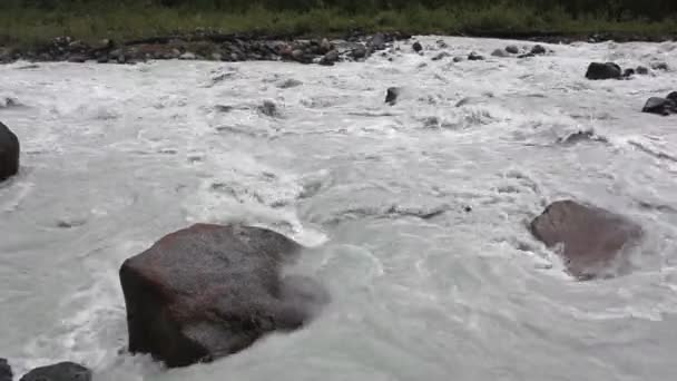 Rushing Akkem River Altai Mountains Russia — Stock Video