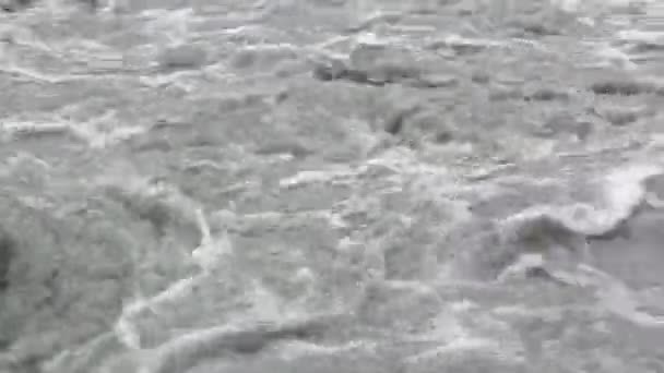 Rushing Akkem River Altai Mountains Rusia Fondo Natural — Vídeo de stock