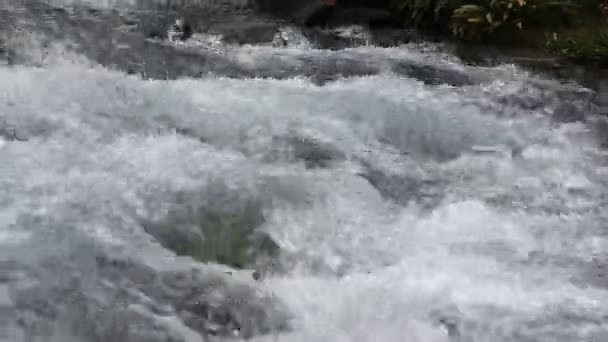 Eau dans un ruisseau de montagne, fond naturel   