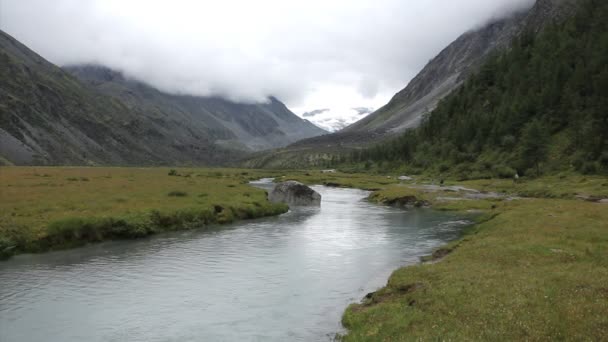 Rivière Akkem Par Une Matinée Nuageuse Pied Des Monts Belukha — Video