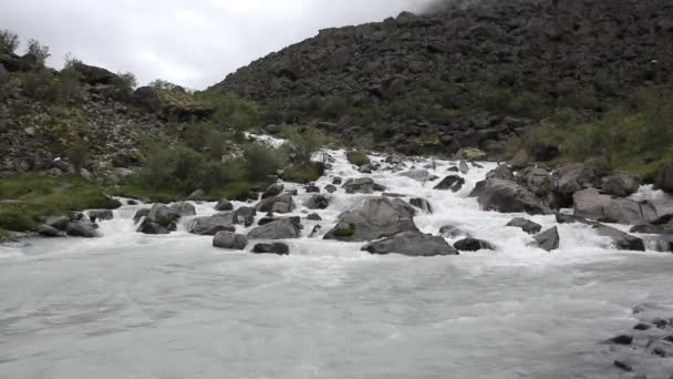 在一个多云的早晨 俄罗斯阿尔泰 奔腾的阿克凯姆河在山间的石头上流淌 — 图库视频影像