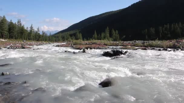 Corriendo Río Akkem Que Fluye Sobre Piedras Entre Las Montañas — Vídeos de Stock