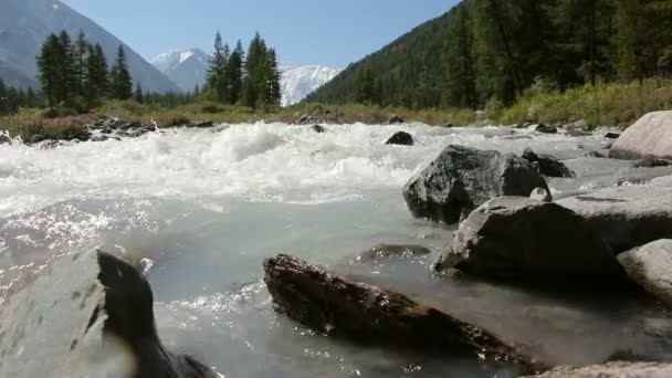 Corriendo Río Akkem Que Fluye Desde Las Montañas Belukha Altai — Vídeo de stock