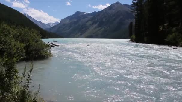 Μαίνεται Kucherla Ποταμός Που Ρέει Από Λίμνη Kucherlinsky Στα Βουνά — Αρχείο Βίντεο