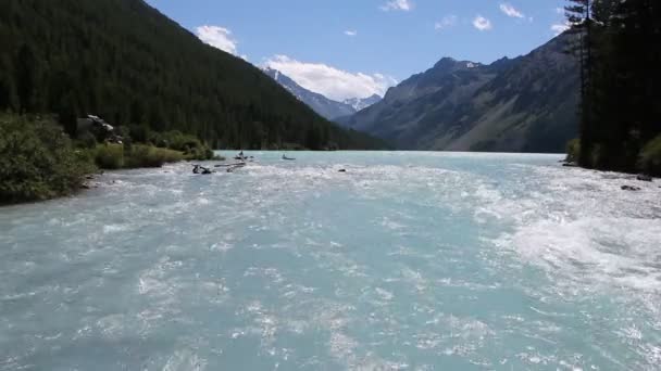 Raging Kucherla Río Que Fluye Desde Lago Kucherlinsky Montañas Altai — Vídeos de Stock