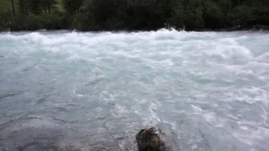 Altai Dağları arasında akan Kucherla Nehri, Rusya 