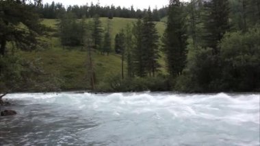 Altai Dağları arasında akan Kucherla Nehri, Rusya 