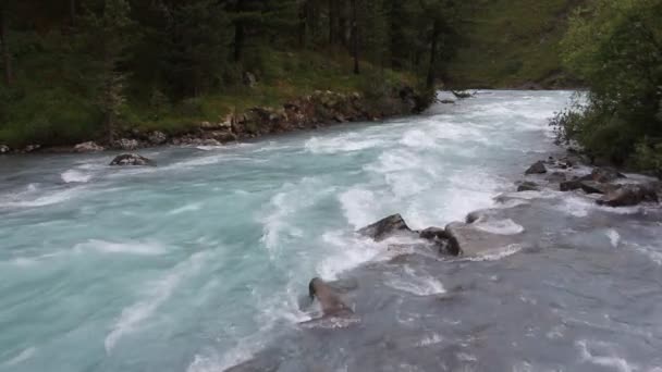 ロシアのアルタイ山脈の間を流れるクチェラ川 — ストック動画