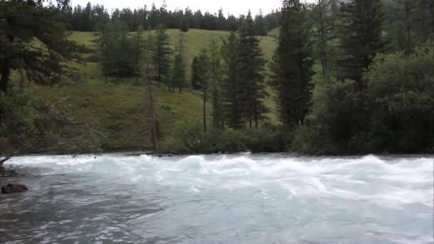 Kucherla River Flowing Altai Mountains Russia — Stock Video