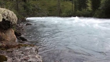 Altai Dağları arasında akan Kucherla Nehri, Rusya 