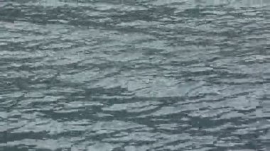 Su yüzeyi doğal bir yayla Gölü arka plan, Kucherlinskoye Gölü, altay