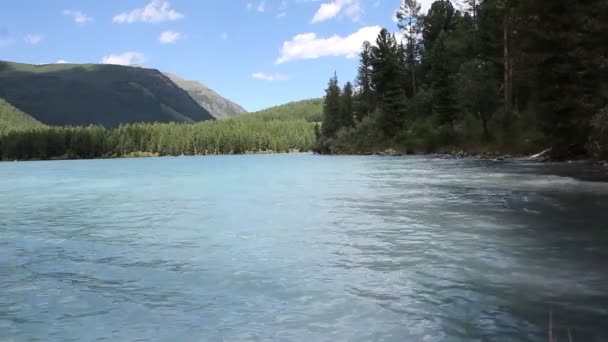 夏の朝 Kucherlinskoye アルタイ山脈 ロシアの高原の湖 — ストック動画