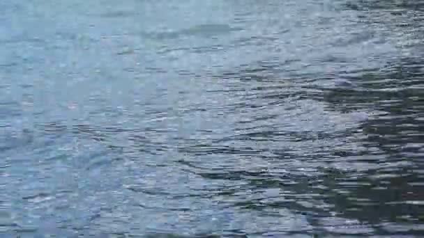 Вода Поверхня Озера Highland Природні Тло Kucherlinskoye Озеро Алтай — стокове відео
