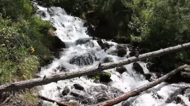 Brücke Aus Holzstämmen Über Einen Gebirgsbach Altai Gebirge Russland — Stockvideo