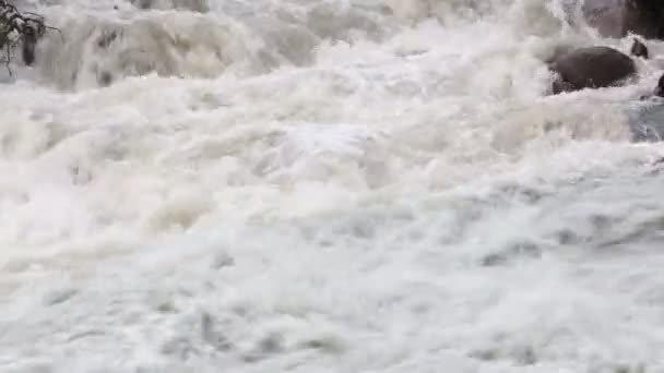 Wasserfall Auf Dem Fluss Tekelyu Der Den Fluss Akkem Fließt — Stockvideo