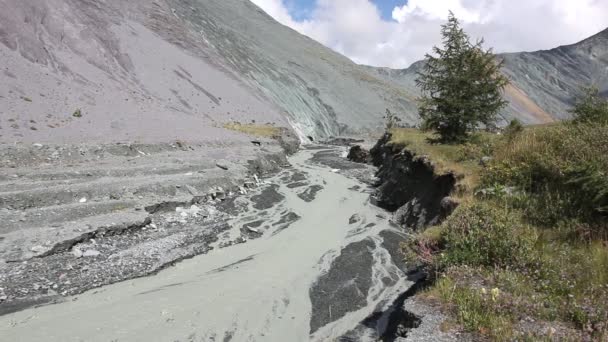 Yarlu Floden Som Flödar Ravinen Färgade Bergen Altai Ryssland — Stockvideo