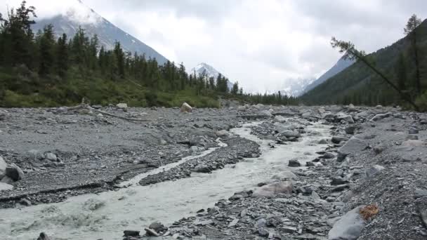 Река Ярлу Впадающая Ущелье Алтайские Горы Россия — стоковое видео
