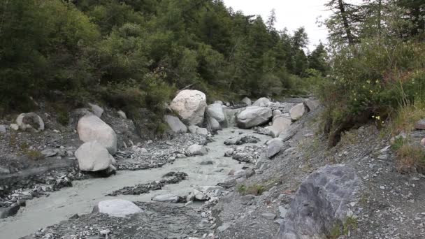 Rio Yarlu Fluindo Para Desfiladeiro Altai Mountains Rússia — Vídeo de Stock