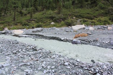 Su dağ Yarlu nehir, Altay Dağları, Rusya'da gri akışı  