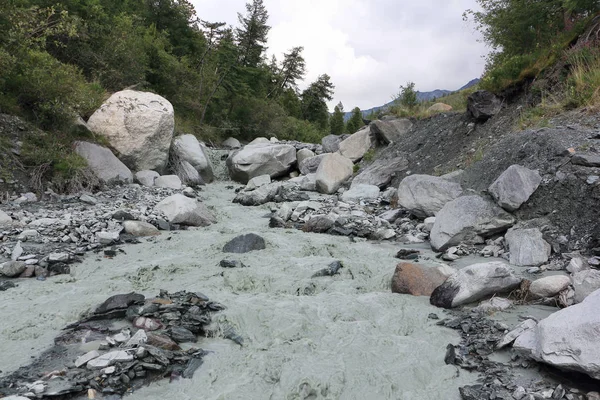 Su dağ Yarlu nehir, Altay Dağları, Rusya'da gri akışı  