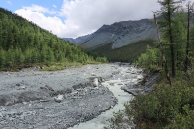 Yarlu River gorge, Altay Dağları, Rusya'da akan kurşun renk 