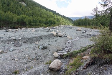 Yarlu River gorge, Altay Dağları, Rusya'da akan kurşun renk 