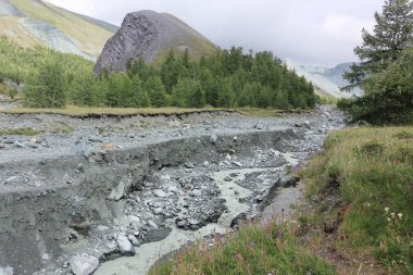 Yarlu River gorge, Altay Dağları, Rusya'da akan kurşun renk 