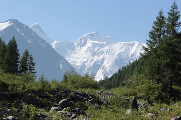 Vista Del Monte Belukha Katunsky Ridge Montañas Altai Rusia — Foto de Stock