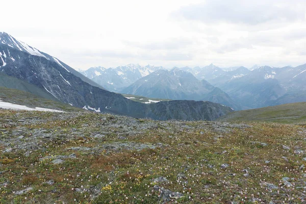 Prados Alpinos Vista Desde Paso Kara Turek Montañas Altai Rusia — Foto de Stock