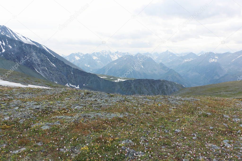 Alpine meadows, view from Kara-Turek Pass, Altai Mountains, Russia