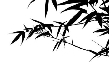 Bambu bitkisinin silueti izole edilmiş arka plan vektör çizimi. Dekorasyon için..