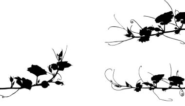 Balkabağı filizi silueti..